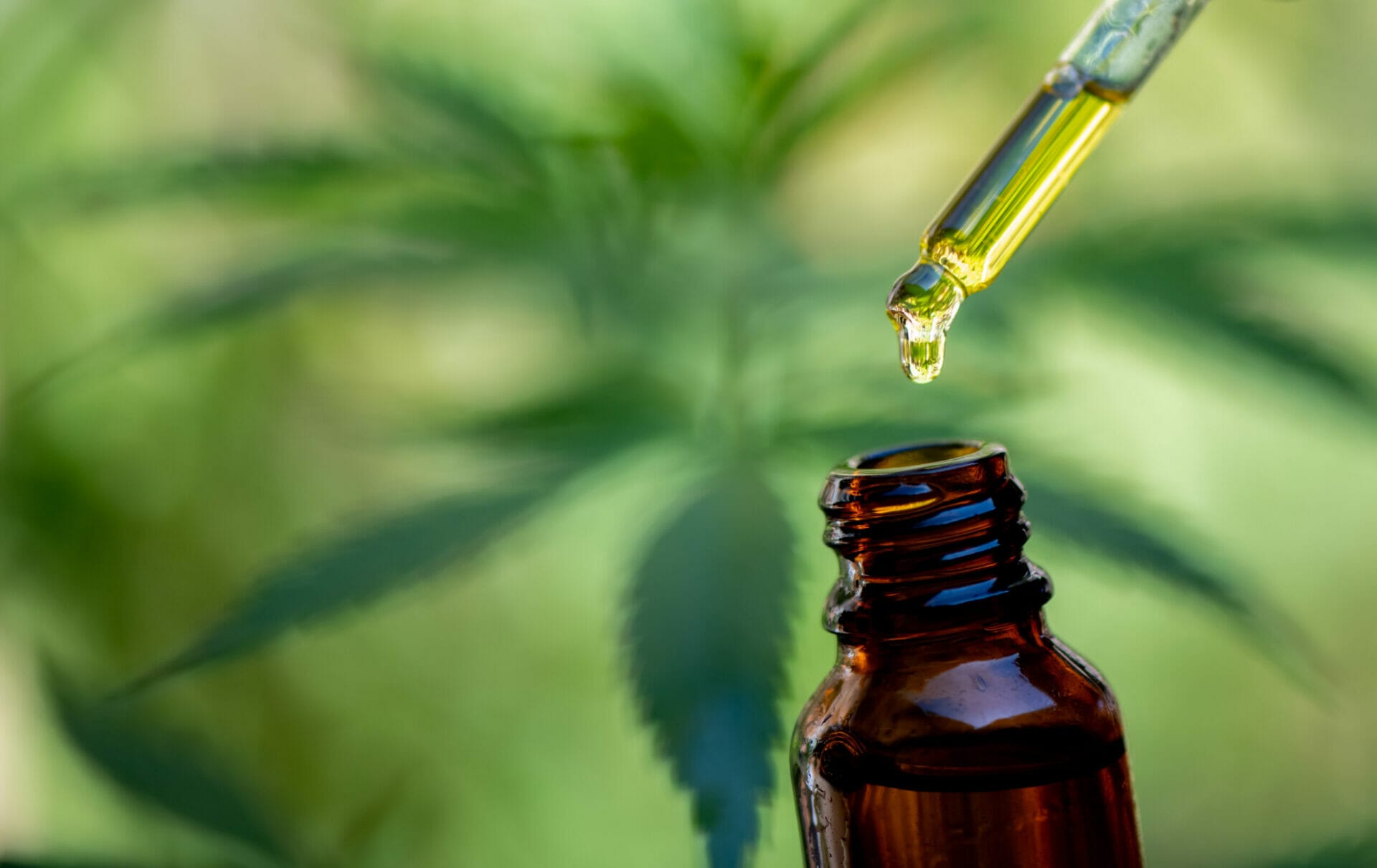 CBD vs. THC: Which is Better for Pain Relief?