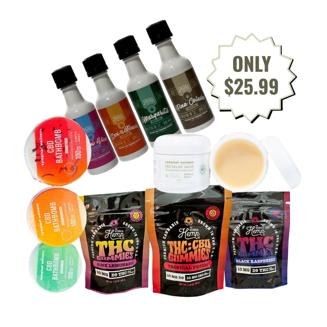 Back to School Buzz Bundle